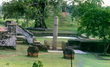 Limbini, Ashok Pillar