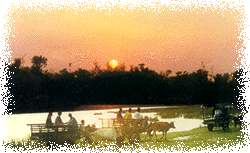 Sunset view from the park